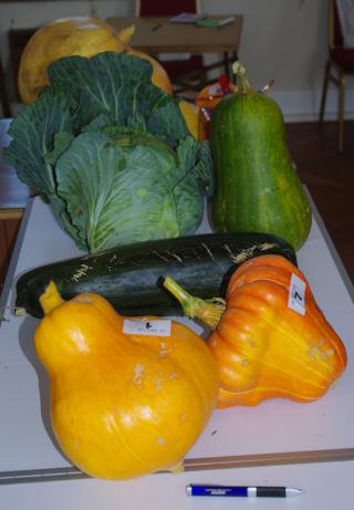 {short description of image}