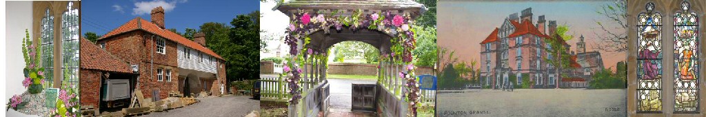 {short description of image}